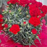 ヒメ日記 2025/05/10 12:30 投稿 もみじ 西船人妻花壇