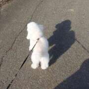 ヒメ日記 2025/05/21 15:36 投稿 もみじ 西船人妻花壇