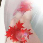 ヒメ日記 2025/06/19 20:52 投稿 もみじ 西船人妻花壇