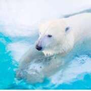 ヒメ日記 2025/07/03 12:52 投稿 もみじ 西船人妻花壇