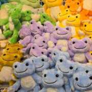 ヒメ日記 2025/07/21 13:21 投稿 もみじ 西船人妻花壇