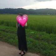 ヒメ日記 2025/08/19 22:53 投稿 もみじ 西船人妻花壇