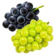 ヒメ日記 2025/08/24 14:56 投稿 もみじ 西船人妻花壇