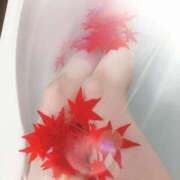 ヒメ日記 2025/10/14 09:00 投稿 もみじ 西船人妻花壇