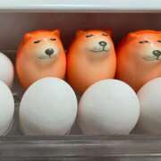 ヒメ日記 2025/11/06 22:00 投稿 もみじ 西船人妻花壇