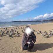 ヒメ日記 2025/11/22 15:50 投稿 もみじ 西船人妻花壇