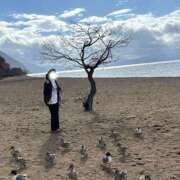 ヒメ日記 2025/11/24 15:28 投稿 もみじ 西船人妻花壇