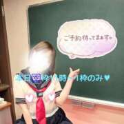 ヒメ日記 2025/11/25 10:20 投稿 もみじ 西船人妻花壇