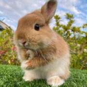 ヒメ日記 2026/01/14 08:16 投稿 もみじ 西船人妻花壇