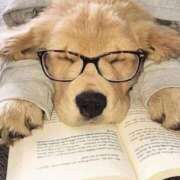 ヒメ日記 2026/01/17 09:14 投稿 もみじ 西船人妻花壇