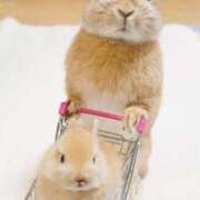 ヒメ日記 2026/01/18 10:49 投稿 もみじ 西船人妻花壇