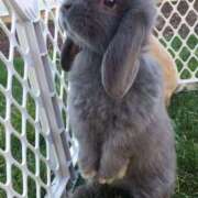 ヒメ日記 2026/01/24 08:48 投稿 もみじ 西船人妻花壇