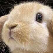 ヒメ日記 2026/02/22 21:14 投稿 もみじ 西船人妻花壇