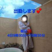 ヒメ日記 2026/03/01 20:33 投稿 もみじ 西船人妻花壇