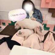 もみじ 出勤💕💕 西船人妻花壇