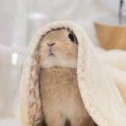 ヒメ日記 2026/03/06 07:54 投稿 もみじ 西船人妻花壇