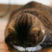 ヒメ日記 2025/08/29 14:02 投稿 はるひ 丸妻 新横浜店