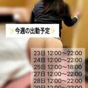 ヒメ日記 2024/12/23 14:03 投稿 なるみ 夜這専門発情する奥様たち 谷九店