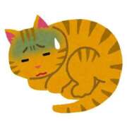 ヒメ日記 2026/01/30 18:01 投稿 なるみ 夜這専門発情する奥様たち 谷九店