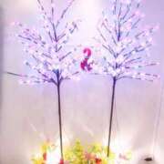 ヒメ日記 2025/02/25 07:43 投稿 新人まり34歳 夫を卒業する人妻たち