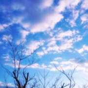 ヒメ日記 2025/03/04 08:52 投稿 新人まり34歳 夫を卒業する人妻たち