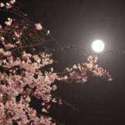 ヒメ日記 2025/04/01 16:28 投稿 新人まり34歳 夫を卒業する人妻たち