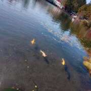 ヒメ日記 2025/06/04 18:30 投稿 新人まり34歳 夫を卒業する人妻たち