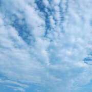 ヒメ日記 2025/07/07 17:25 投稿 新人まり34歳 夫を卒業する人妻たち