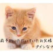 ヒメ日記 2025/05/02 00:49 投稿 たかこ AVANCE福岡