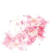 ヒメ日記 2025/05/20 12:15 投稿 たかこ AVANCE福岡