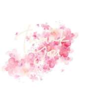 ヒメ日記 2026/02/15 00:01 投稿 たかこ AVANCE福岡