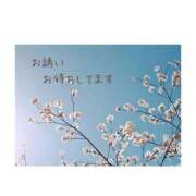 ヒメ日記 2026/04/06 10:52 投稿 たかこ AVANCE福岡