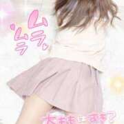 ヒメ日記 2024/12/26 19:40 投稿 むぎ☆完全未経験生徒 さくらんぼ女学院