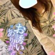 ヒメ日記 2025/04/19 15:47 投稿 むぎ☆完全未経験生徒 さくらんぼ女学院