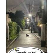 ヒメ日記 2025/01/17 05:30 投稿 かえで 奥様の実話 谷九店