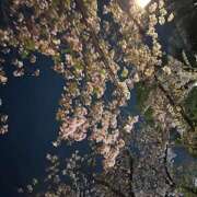 ヒメ日記 2026/04/08 21:57 投稿 ひな ラブ＆ナース