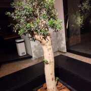 ヒメ日記 2025/01/10 17:17 投稿 まいこ 木更津人妻花壇