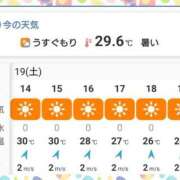 ヒメ日記 2025/04/19 14:35 投稿 まいこ 木更津人妻花壇