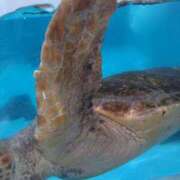 ヒメ日記 2025/05/15 12:09 投稿 まいこ 木更津人妻花壇