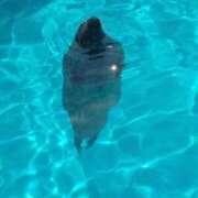 ヒメ日記 2025/05/27 08:21 投稿 まいこ 木更津人妻花壇