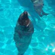 ヒメ日記 2025/06/11 15:30 投稿 まいこ 木更津人妻花壇