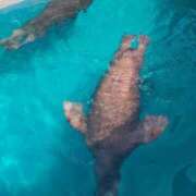 ヒメ日記 2025/07/10 14:55 投稿 まいこ 木更津人妻花壇