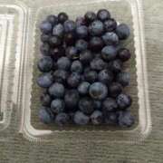 ヒメ日記 2025/08/16 09:54 投稿 まいこ 木更津人妻花壇