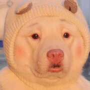 ヒメ日記 2026/02/07 19:41 投稿 まいこ 木更津人妻花壇