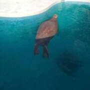 ヒメ日記 2026/02/20 23:32 投稿 まいこ 木更津人妻花壇