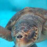 ヒメ日記 2026/03/05 21:26 投稿 まいこ 木更津人妻花壇