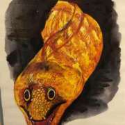 ヒメ日記 2026/03/06 14:42 投稿 まいこ 木更津人妻花壇