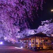 ヒメ日記 2026/03/29 01:37 投稿 まいこ 木更津人妻花壇