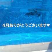 ヒメ日記 2026/04/29 21:34 投稿 まいこ 木更津人妻花壇