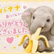 ヒメ日記 2026/06/14 20:07 投稿 まいこ 木更津人妻花壇